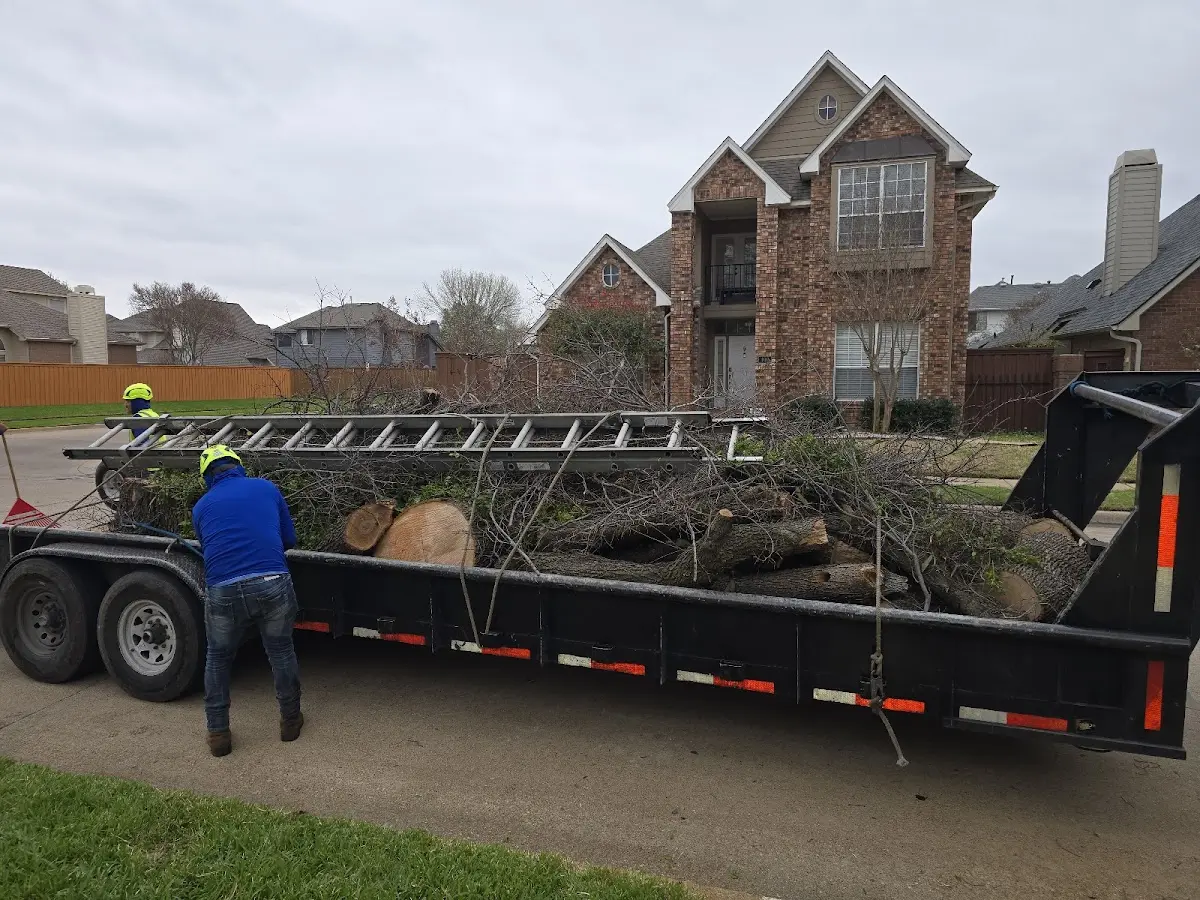 Expert Tree Pest Control with proper safety equipment in Harrisonville